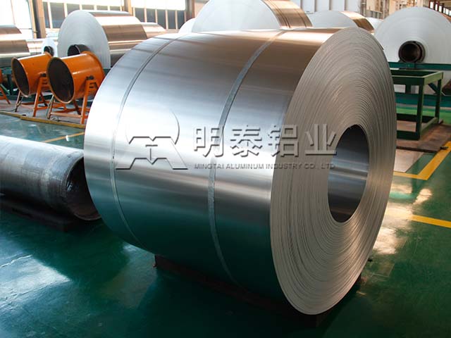 3004蘑菇视频大全视频播放