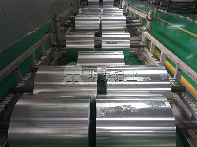 3003蘑菇视频免费下载高清在线观看