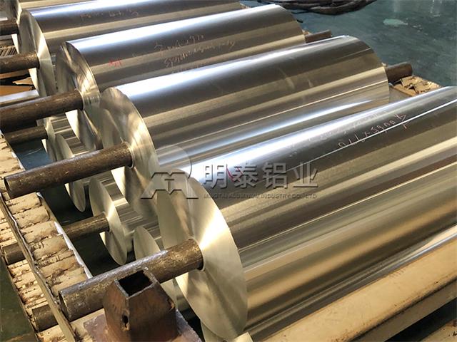 1235蘑菇视频免费下载高清在线观看