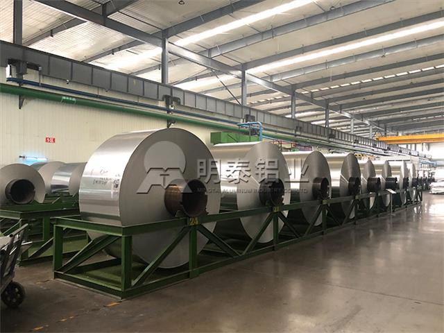 3003蘑菇视频大全视频播放